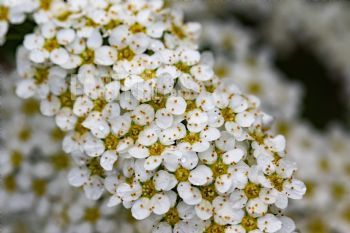 EA348481, Eastpress , Porvoo, Finland